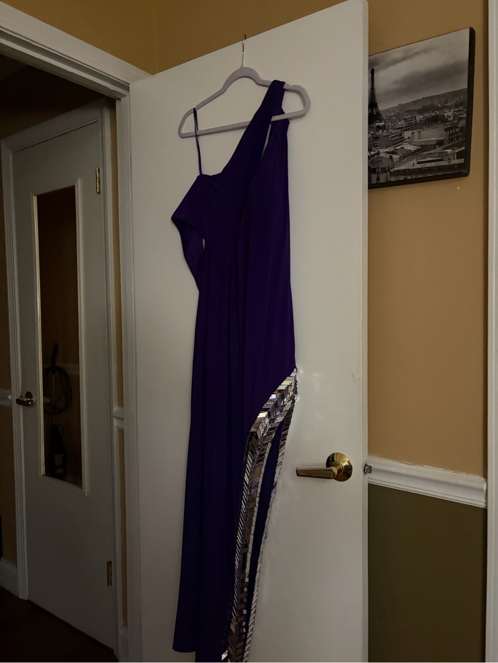 Purple One-Shoulder Evening Dress with Sequin Fringe